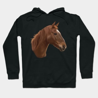 Noble Steed Hoodie